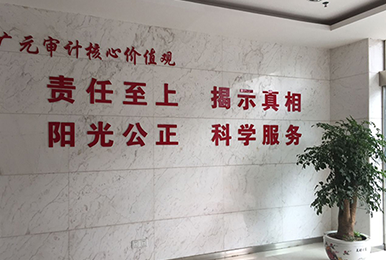 廣元審計(jì)局雷迪司數(shù)據(jù)中心機(jī)房應(yīng)用案例
